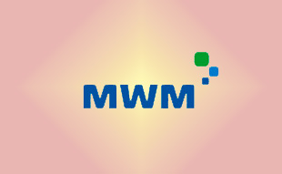 ✓ MWM 0404 0123 Запчасть MWM 